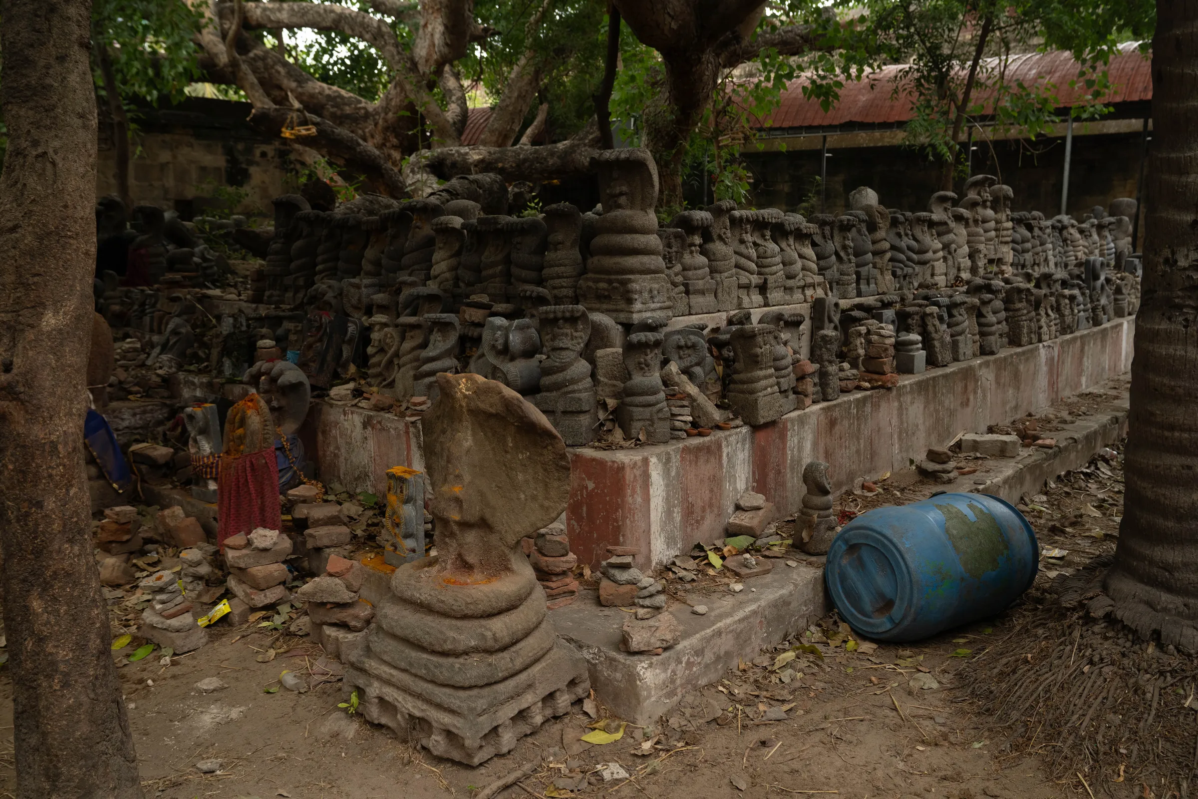 Adi Jaganatha Perumal Temple, photograph