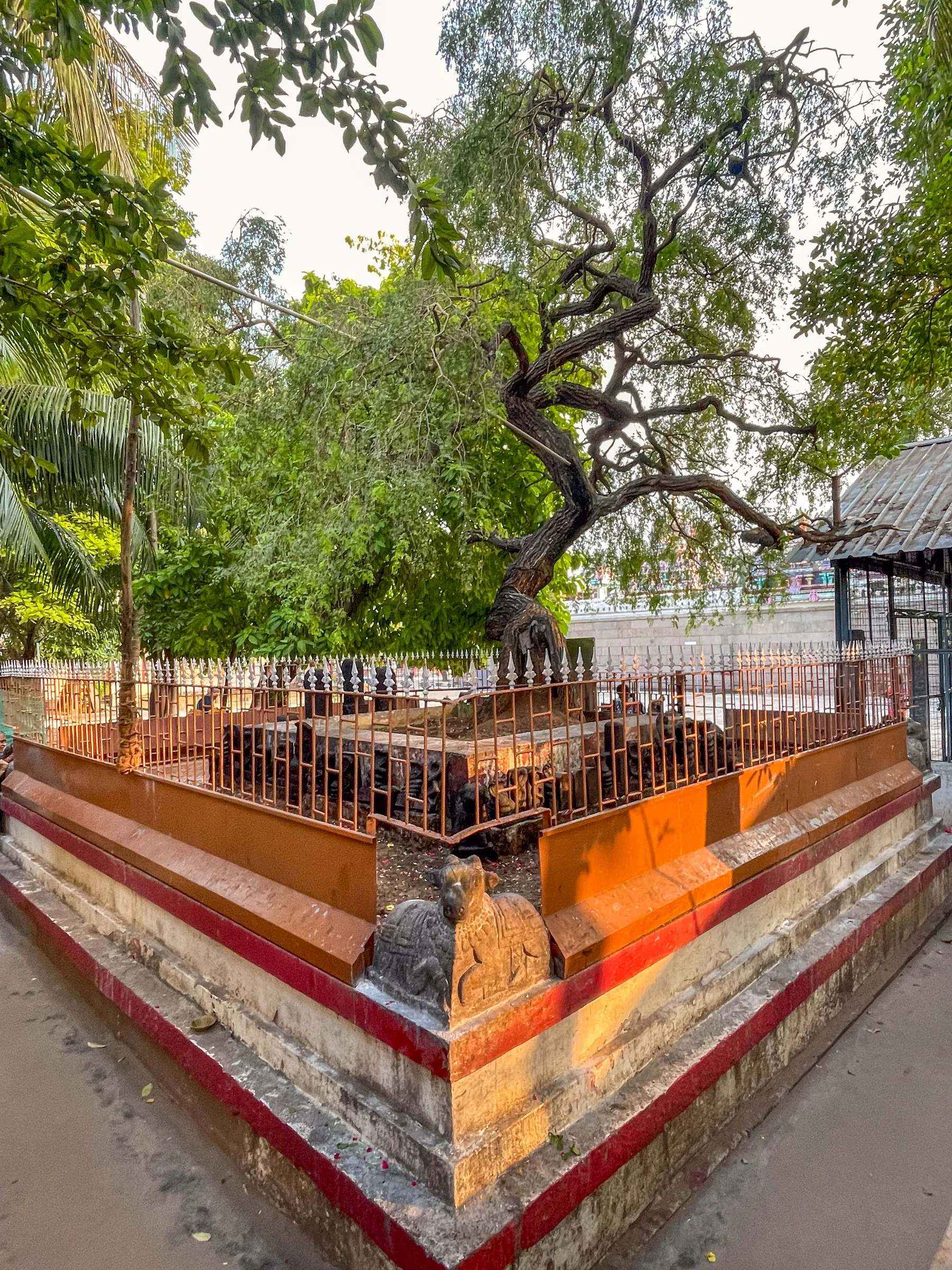 Marundeeswara Temple, photograph